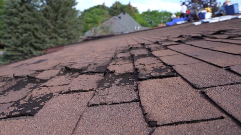 Best Green or Eco-Friendly Roofing Solutions  in Elmore, OH